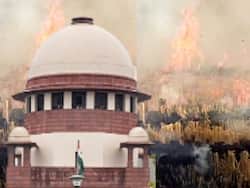 Stubble Burning Case: प्रदूषण मुक्त जीवन 'नागरिकों' का मौलिक अधिकार, SC ने पंजाब और हरियाणा सरकार को जमकर फटकारा