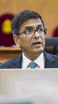 CJI DY Chandrachud को किस बात का डर! मार्निंग वॉक से भी कर लिया तौबा