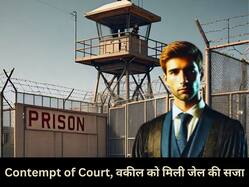 वकील को Delhi HC ने सुनाई चार महीने जेल की सजा, अदालत की गरिमा कम करने के थे आरोप, जानें पूरा मामला