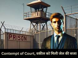 वकील को Delhi HC ने सुनाई चार महीने जेल की सजा, अदालत की गरिमा कम करने के थे आरोप, जानें पूरा मामला