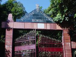 32 साल बाद बरी हुआ शख्स, दहेज के लिए हत्या के मामले में उत्तराखंड हाई कोर्ट से मिली राहत, जानें पूरा मामला