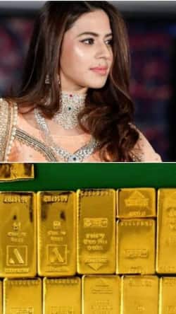 Custom Act 1962: कब विदेश से गोल्ड लाना Smuggling कहलाएगा?