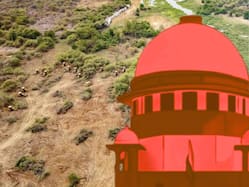 गाचीबोवली में 1000 पेड़ो की कटाई पर तेलंगाना सरकार से CJI BR Gavai नाखुश, दी ये हिदायत