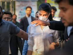 मुकदमे का सामना करना पड़ेगा... मनी लॉन्ड्रिंग मामले में जैकलीन फर्नांडिस को सुप्रीम कोर्ट की दो टूक, जानें सुनवाई के दौरान क्या-कुछ कहा